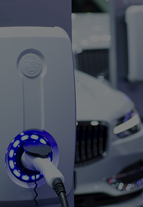 �������׮������